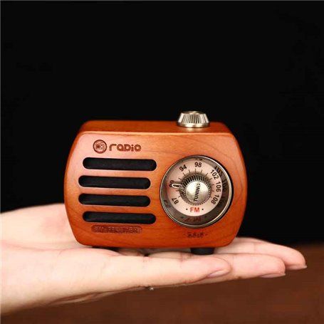 Radio de madera Prunus R-818, radio portátil, altavoz Bluetooth, radio mini  fm de estilo vintage, radio recargable, altavoz de graves para un sonido de  alta calidad, Au